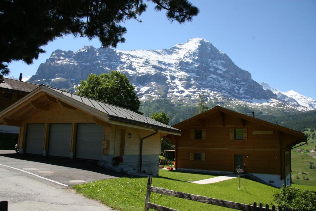 Chalet Baergbaechli Гринделвалд Екстериор снимка