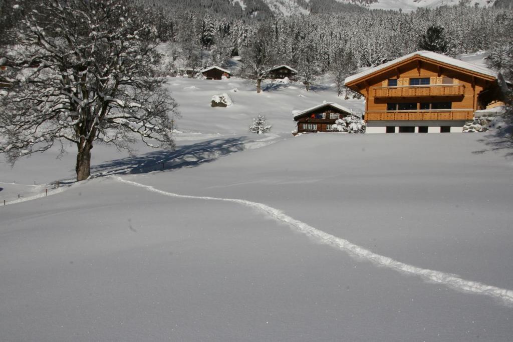 Chalet Baergbaechli Гринделвалд Екстериор снимка