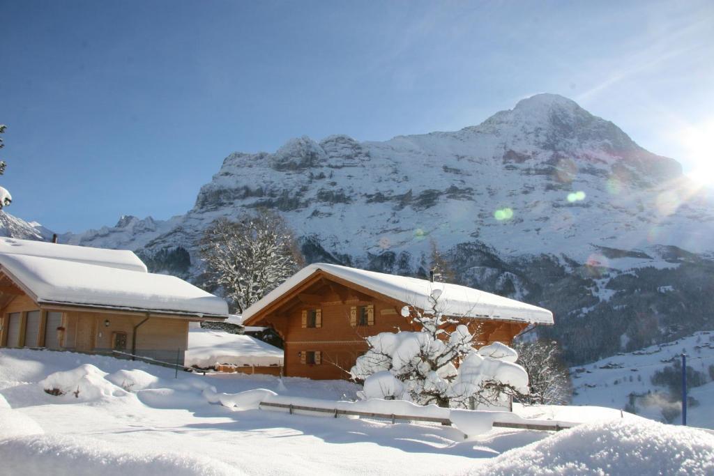 Chalet Baergbaechli Гринделвалд Екстериор снимка